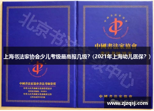 上海书法家协会少儿考级最高报几级？(2021年上海幼儿医保？)